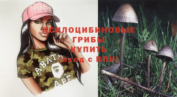 a pvp Мегион