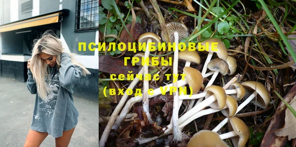 PSILOCYBIN Медногорск